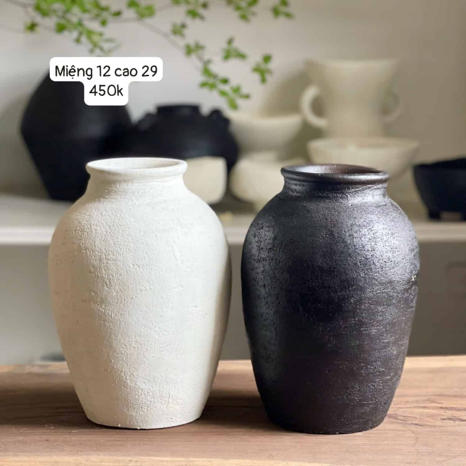 Gốm Chăm - Bình đen trắng M12C29