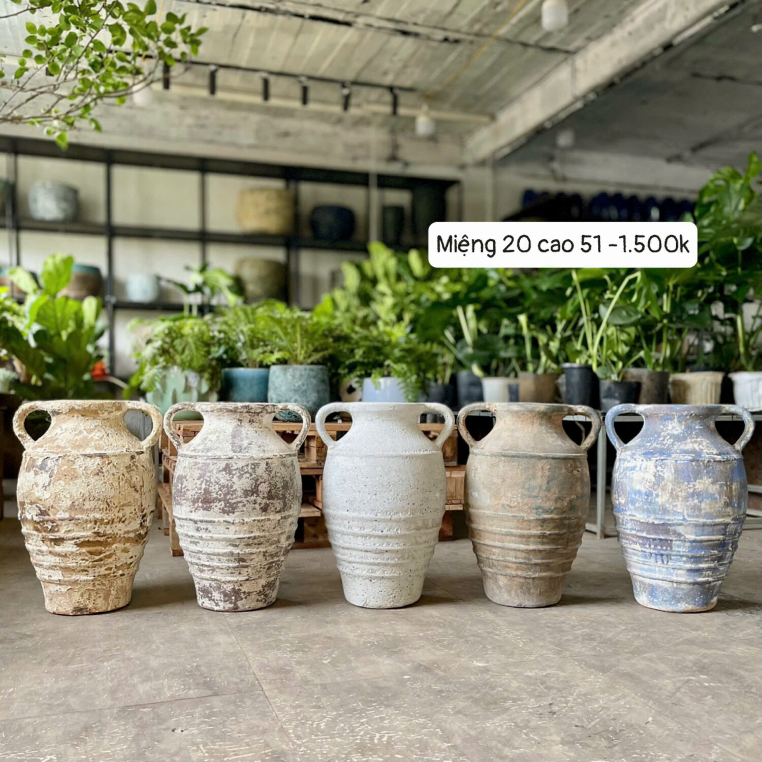 Bình lò bao hai quai miệng 20 cao 51