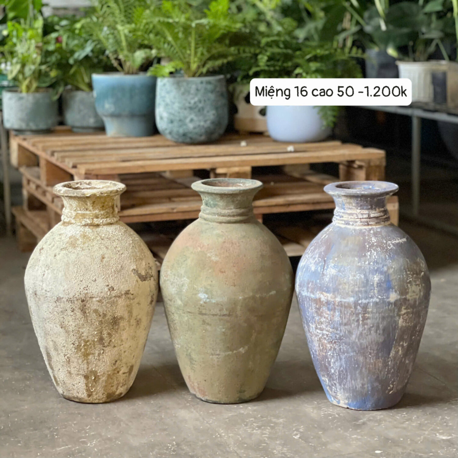 Bình lò bao dáng chai cổ nhỏ ấn tượng M16C50