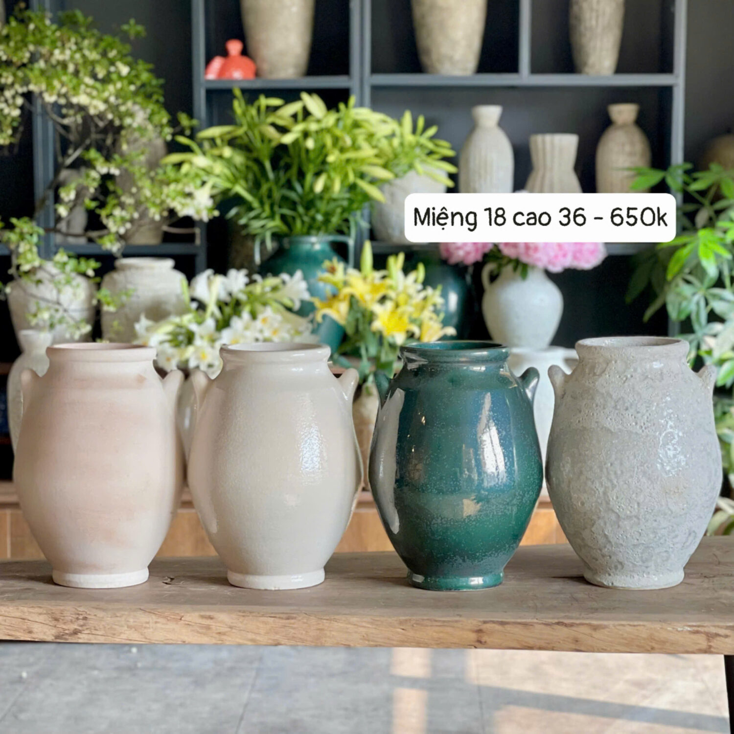 Bình gốm hai tai Miệng 18 cao 36