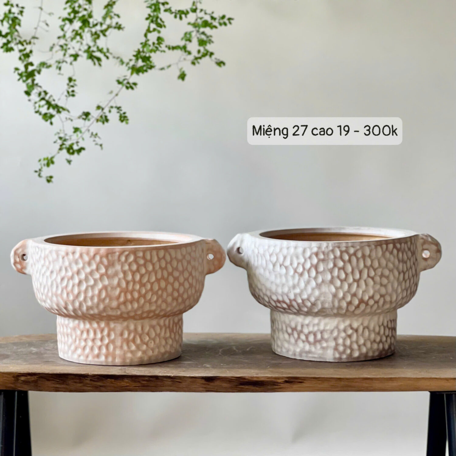 Chậu rustic hai quai dáng loe trắng nâu