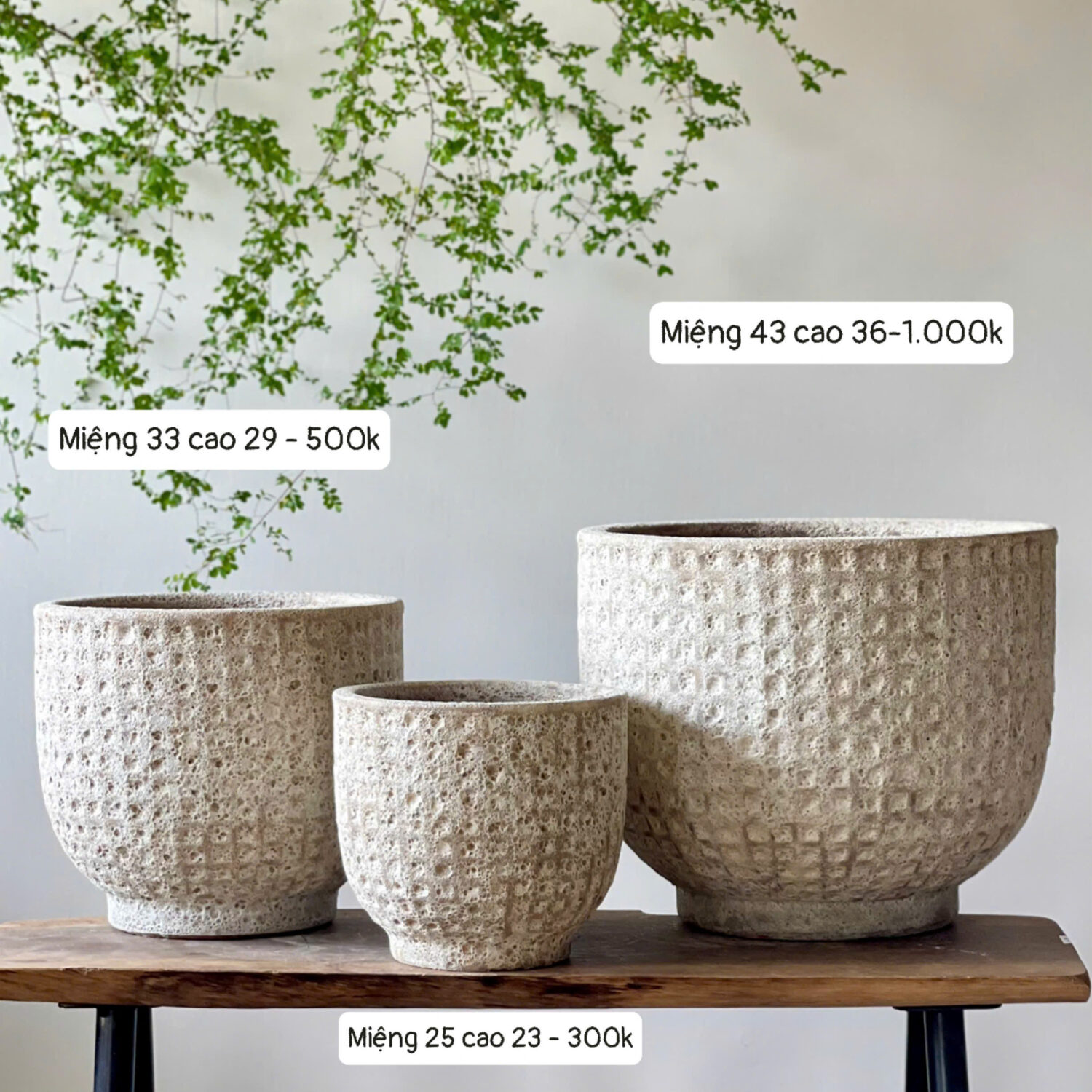 Chậu atlantis kim cương trắng kem bộ 3