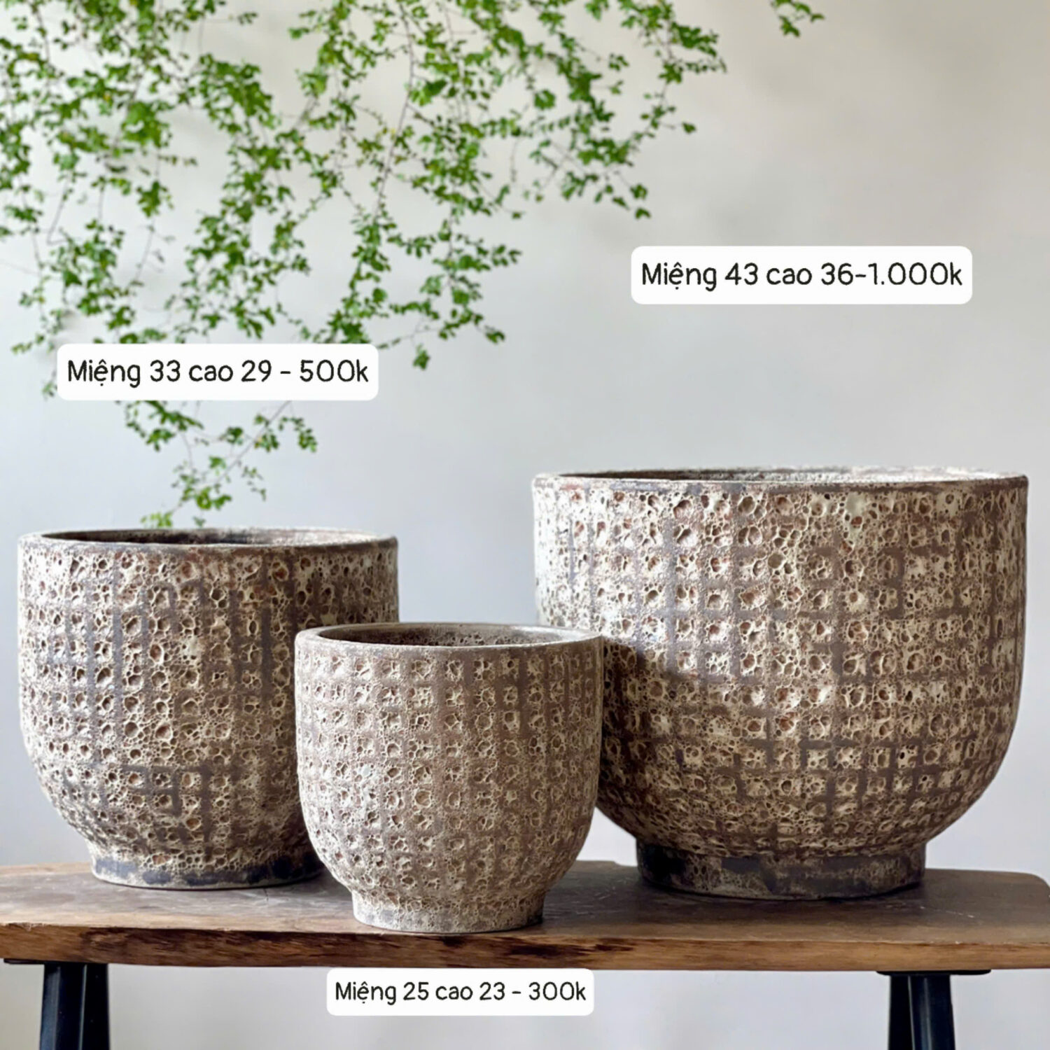 Chậu atlantis kim cương màu kem cháy bộ 3