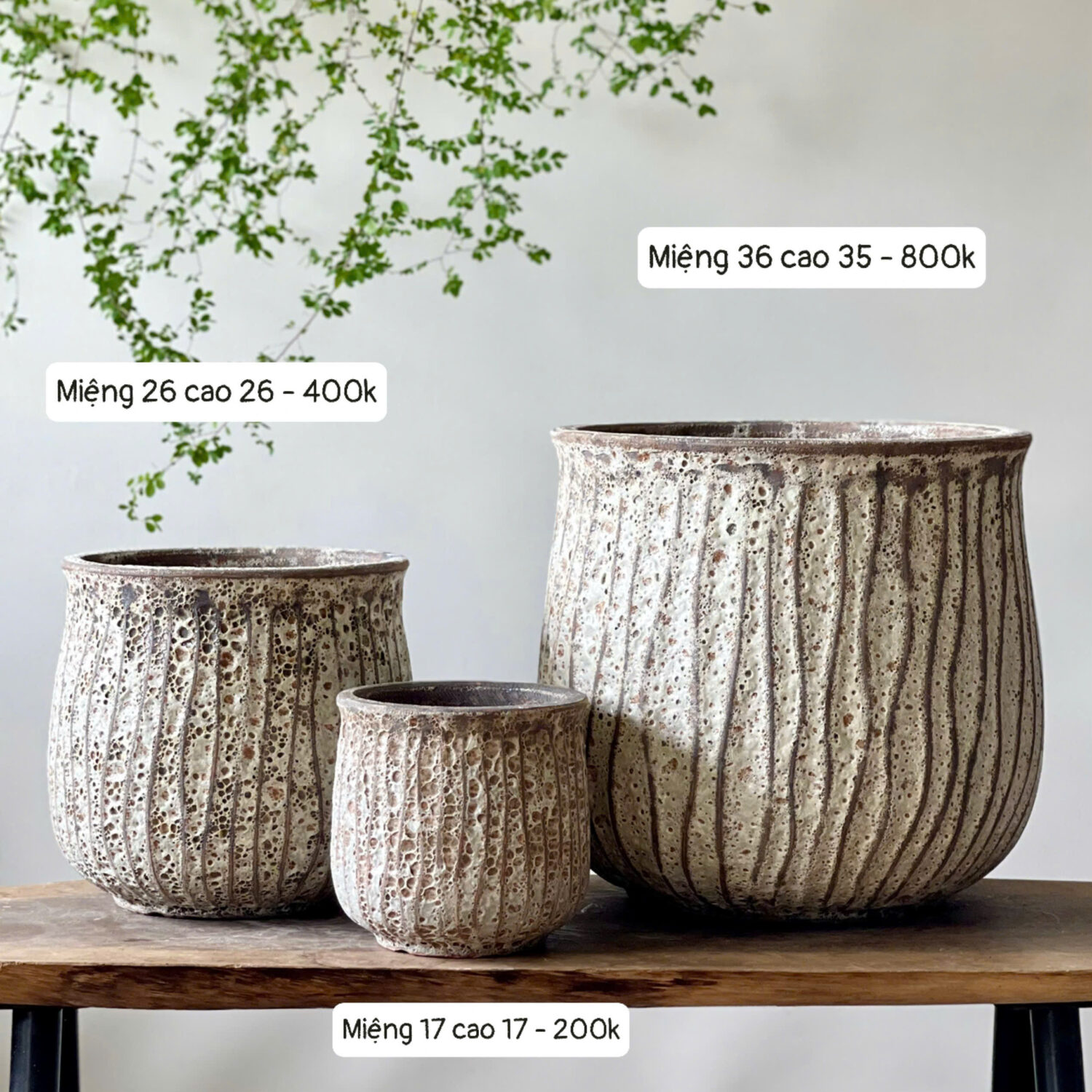 Chậu atlantis dáng miệng túi kem cháy bộ 3