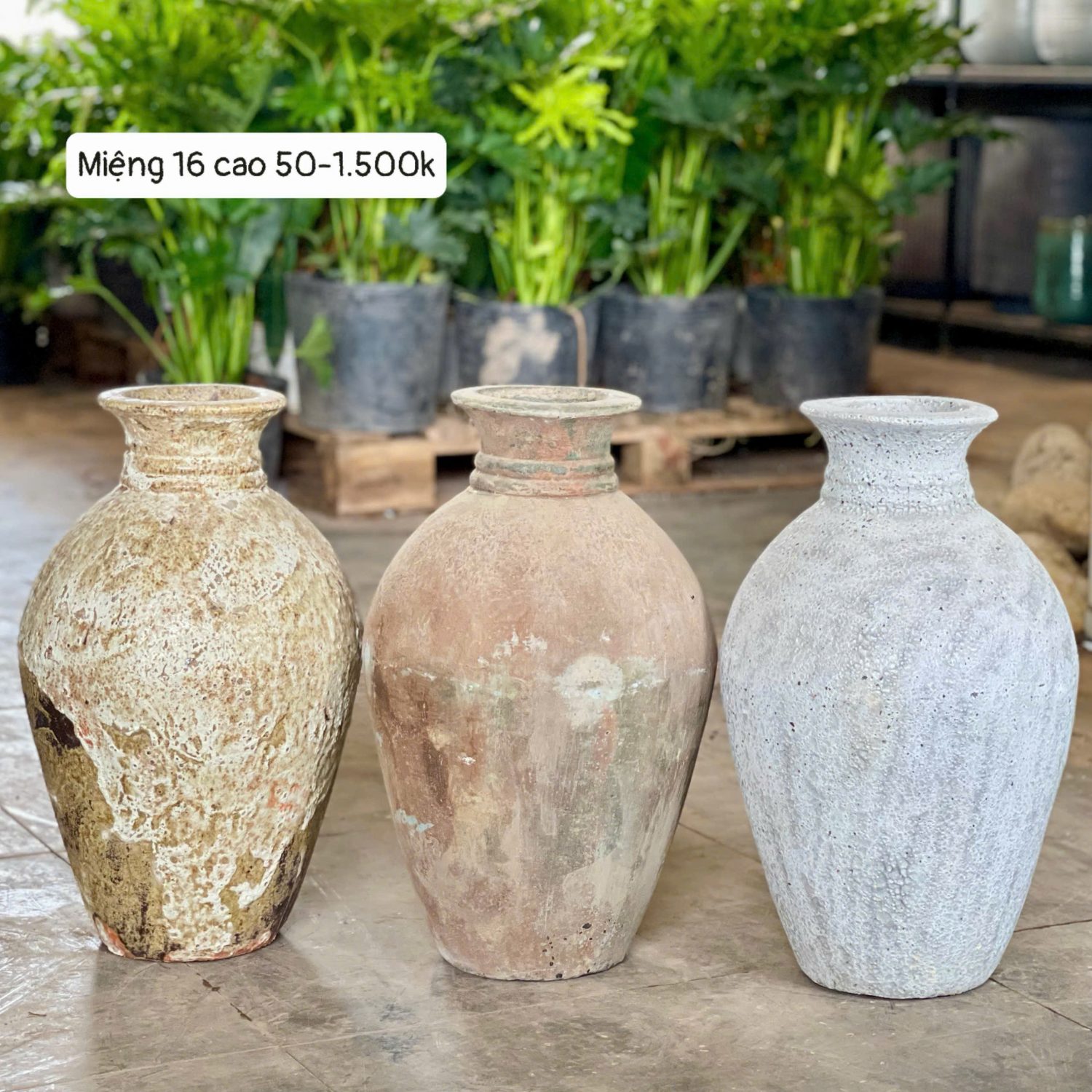 Bình lò bao dáng chai cổ nhỏ ấn tượng M16C50