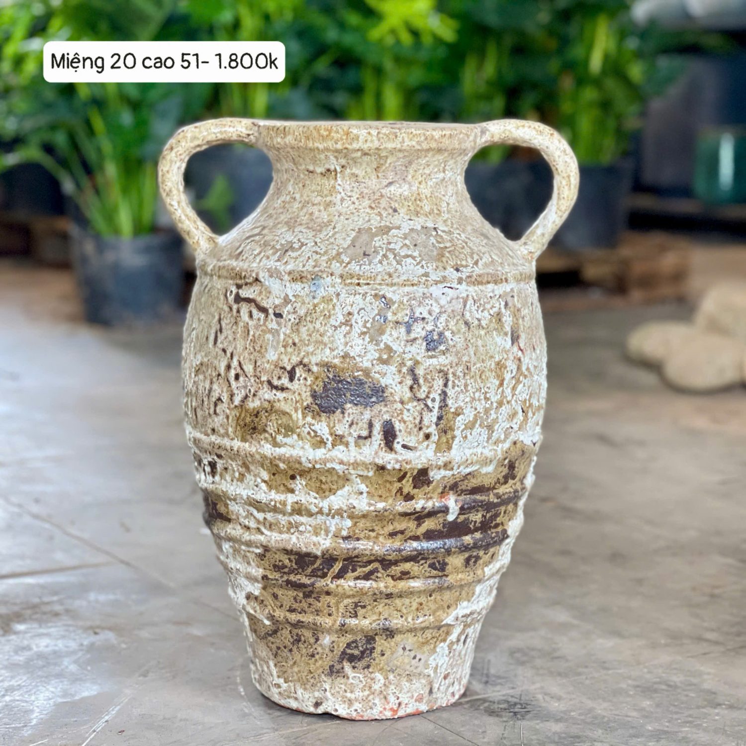 Bình lò bao hai quai miệng 20 cao 51
