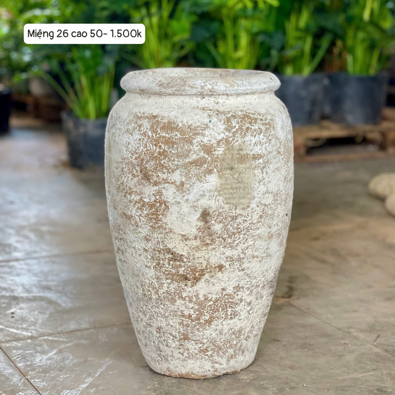 Bình lò bao Atlantis M26C50