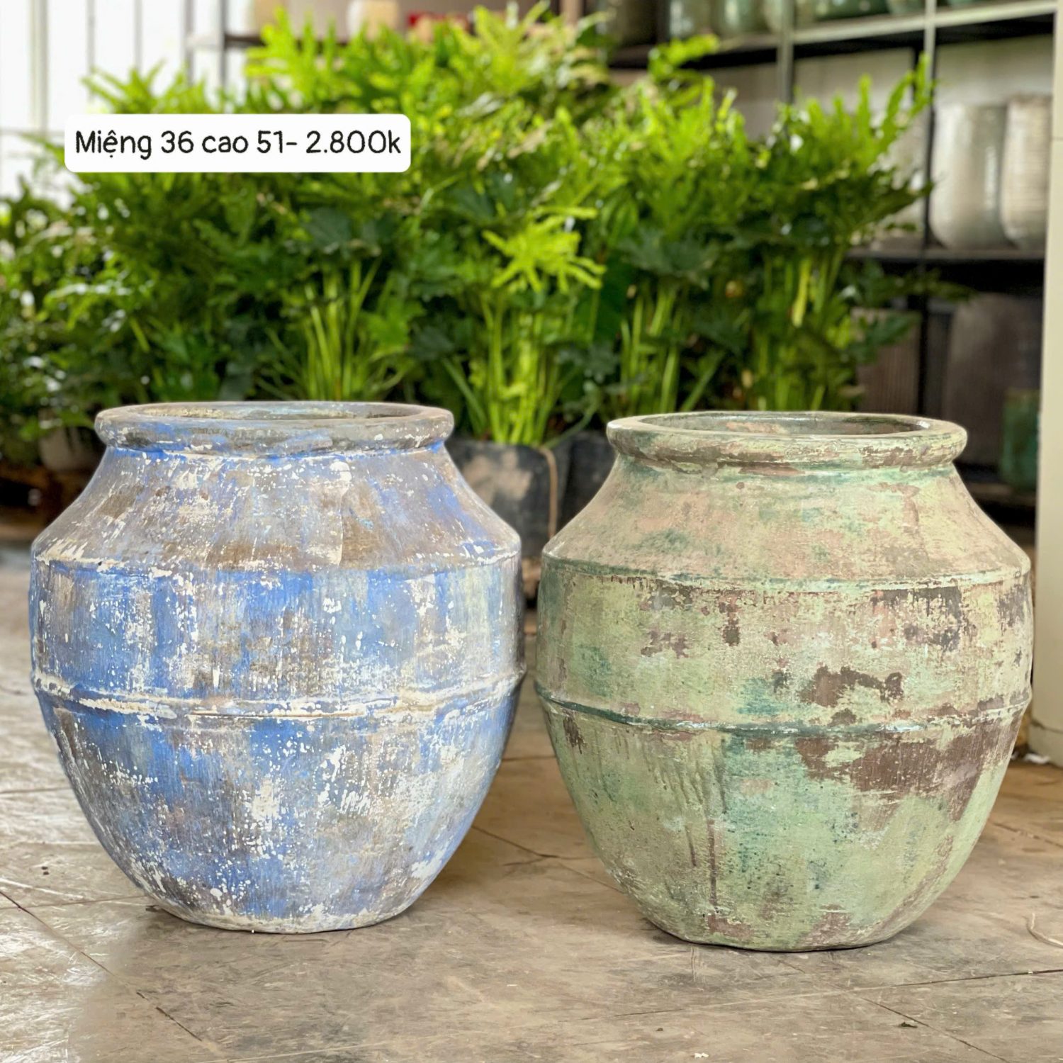 Bình lò bao dáng lu tròn đại M36C51