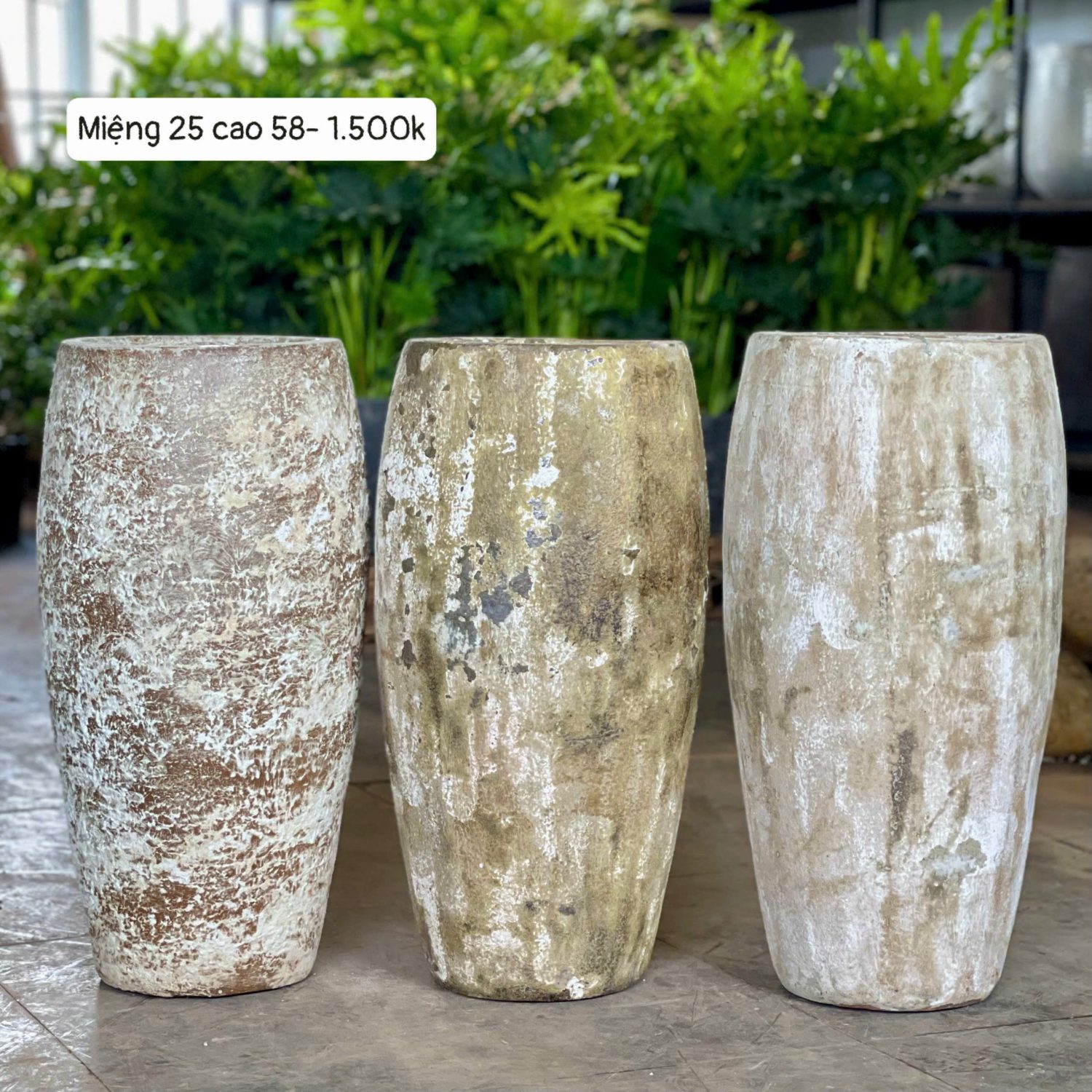 Bình lò bao dáng trụ cao M25C58
