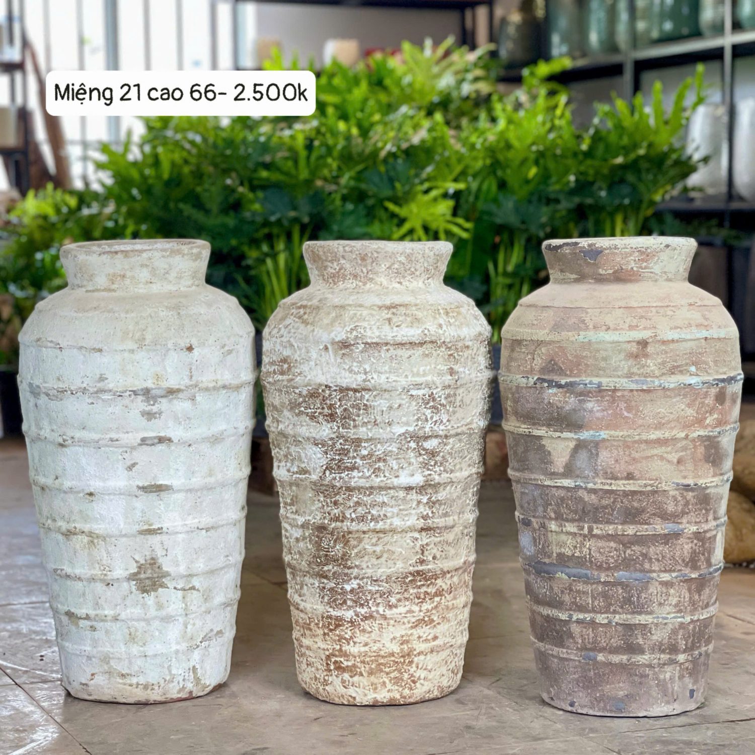 Bình lò bao trụ sóng cao M21C66
