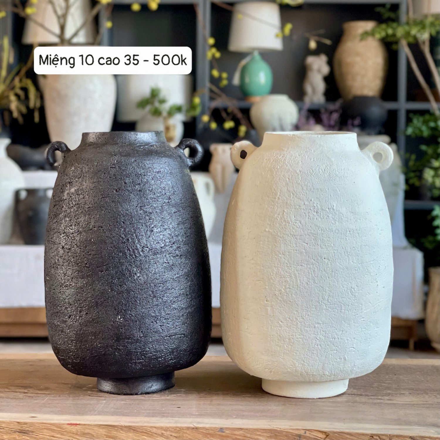 Gốm Chăm - Bình hai tai cao đen trắng M10C35