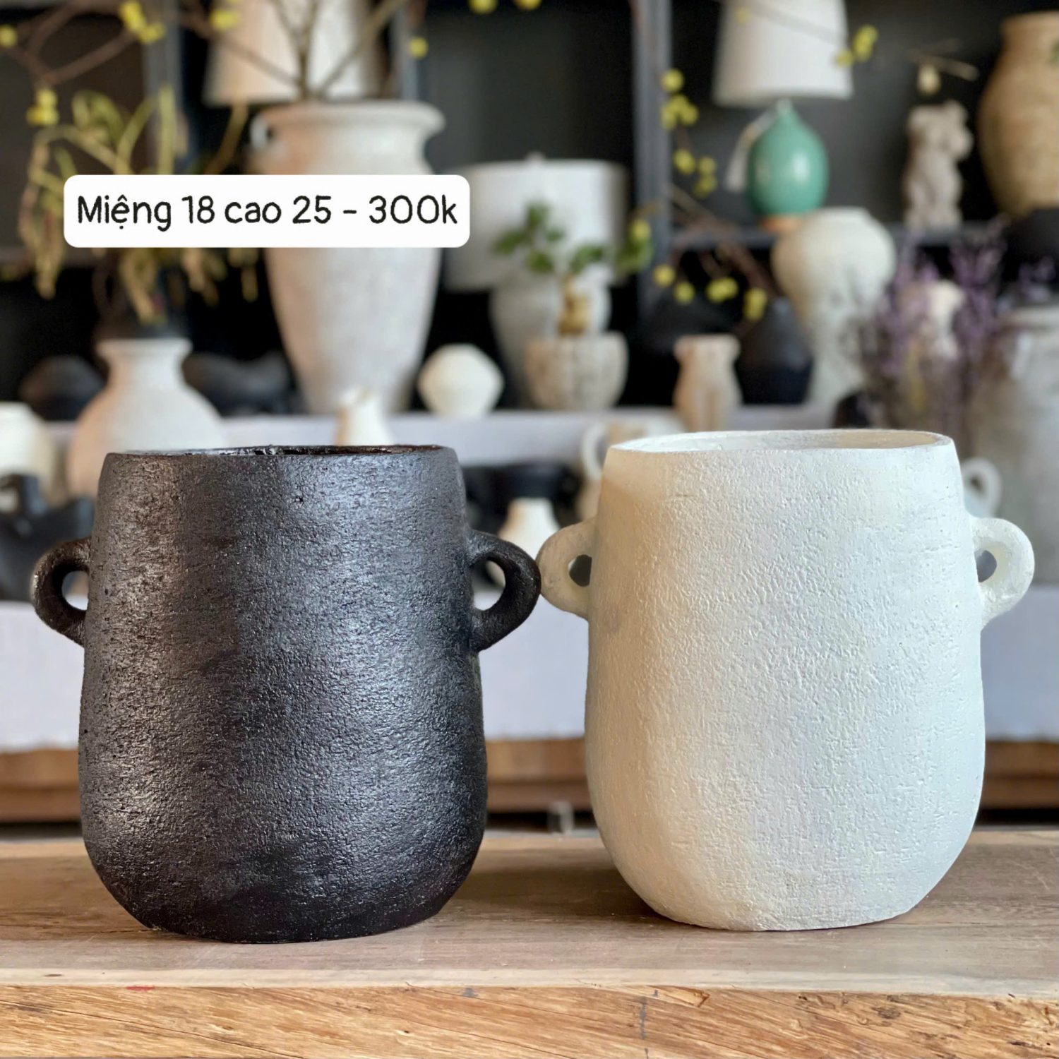 Gốm Chăm - Bình hai tai trắng đen loe M18C25