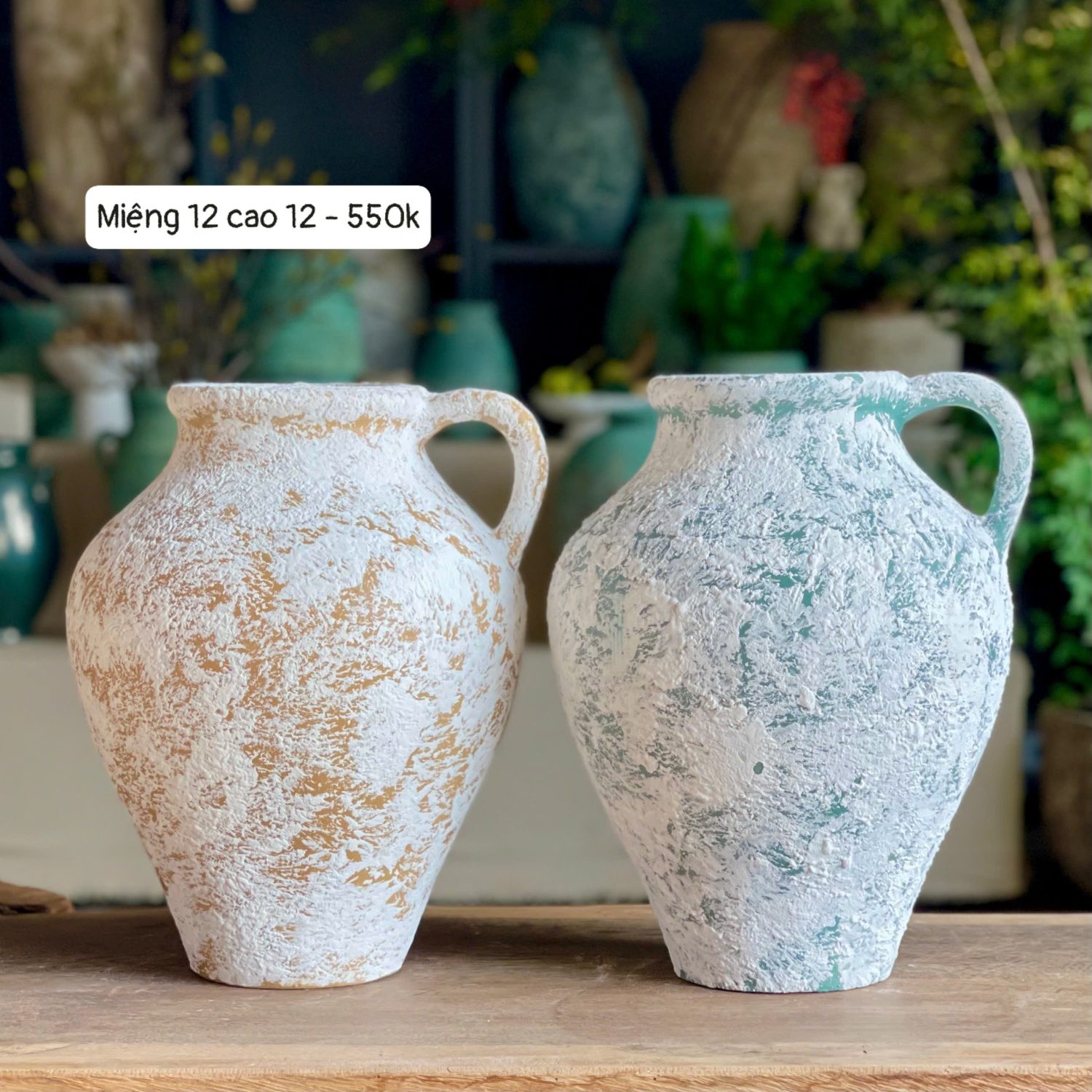 Bình hoa Rustic một quai