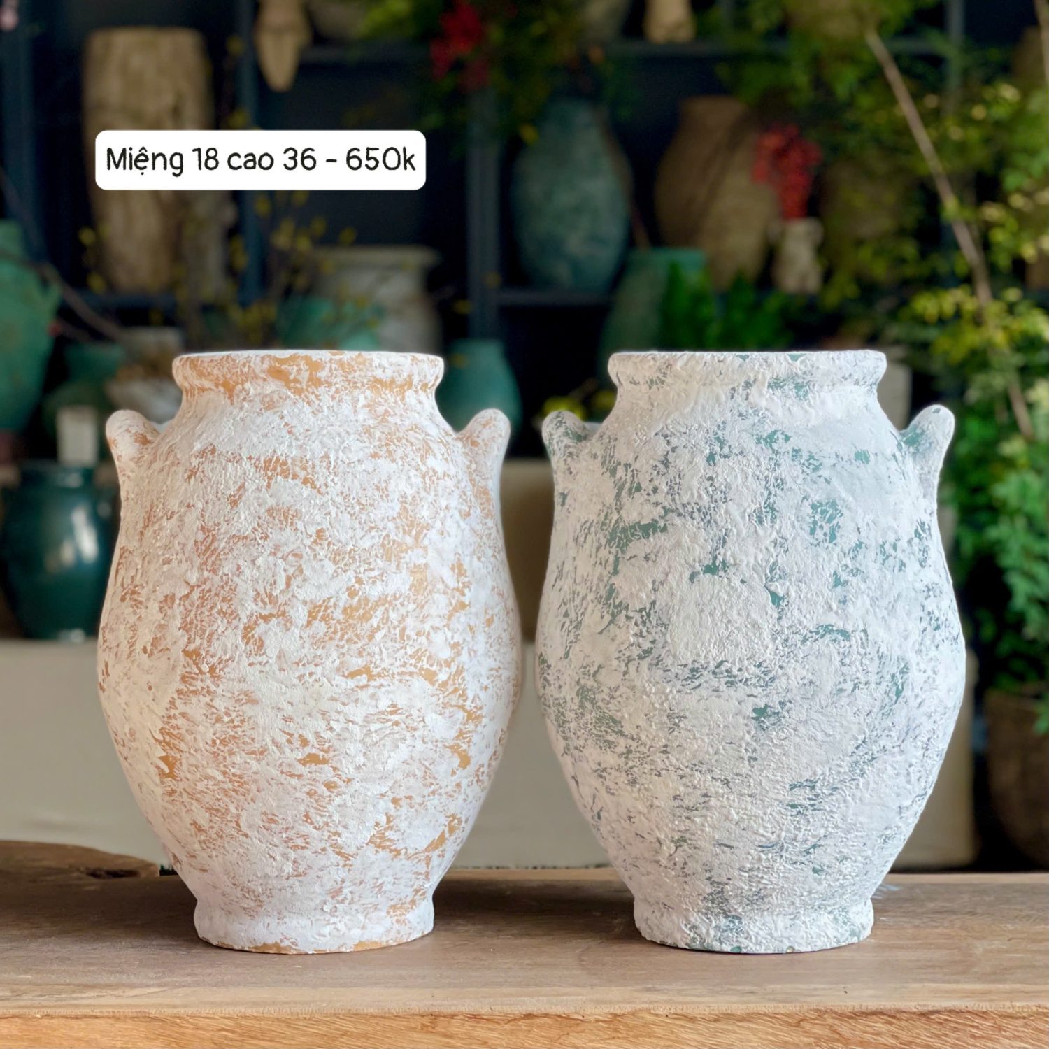 Bình hoa Rustic hai tai