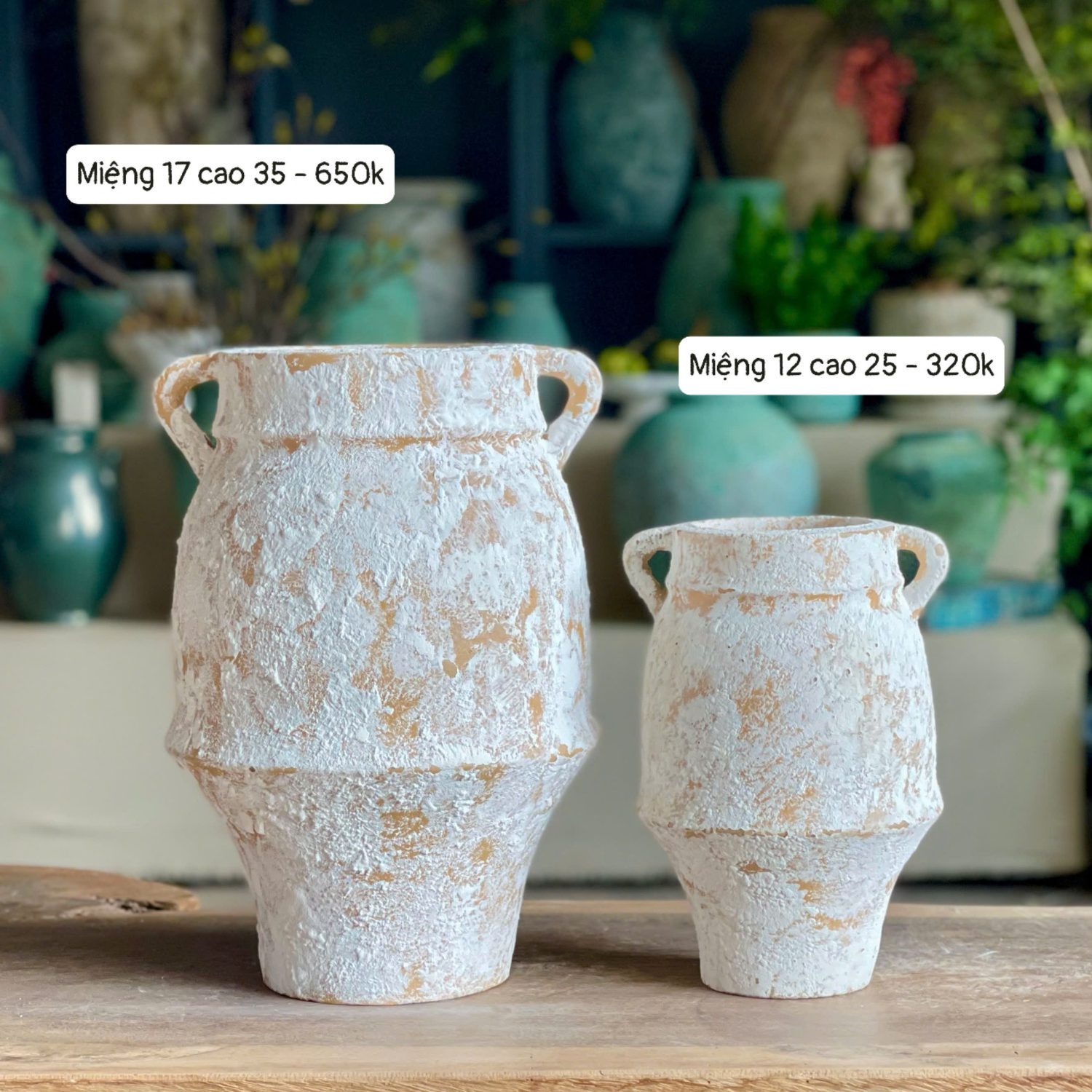 Bình hoa Rustic hai quai