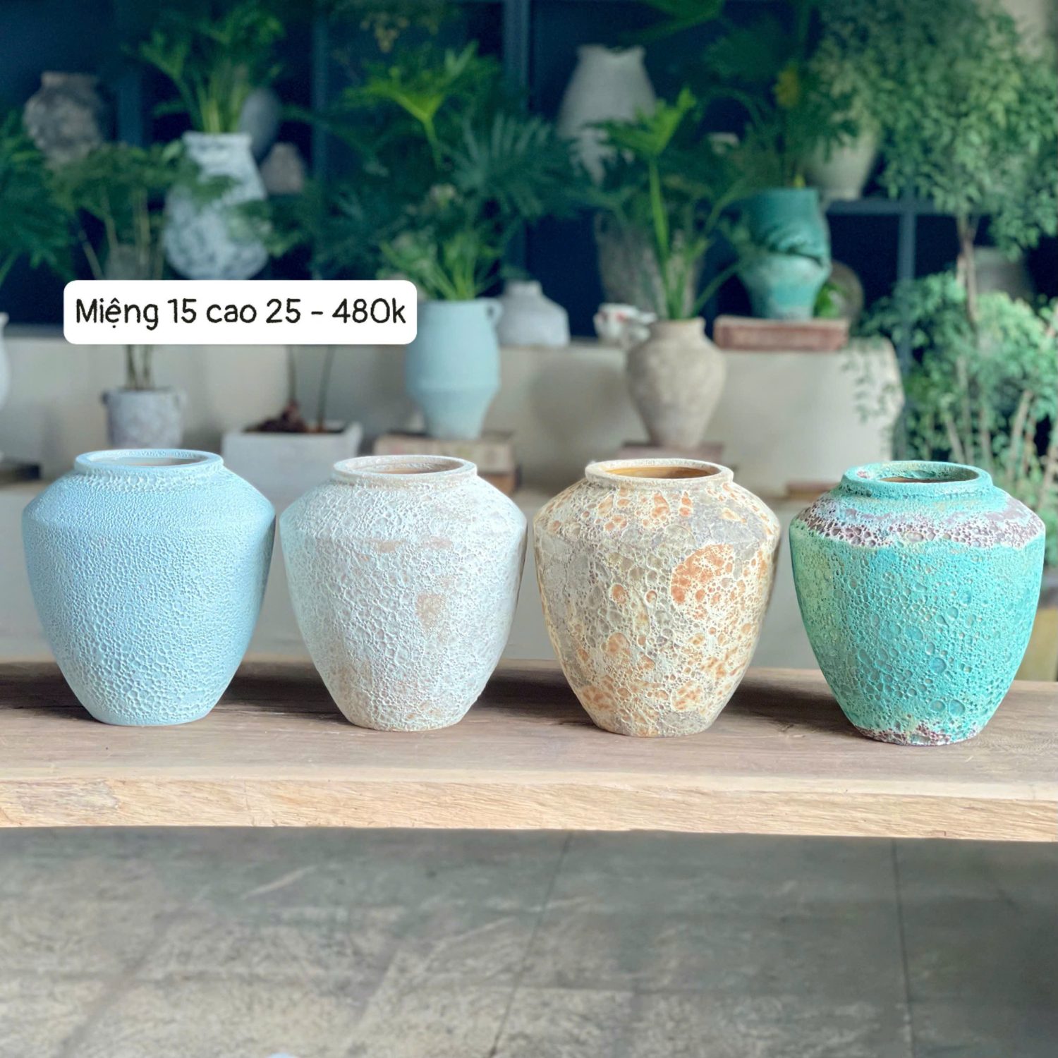 Bình gốm Atlantis vai ngang