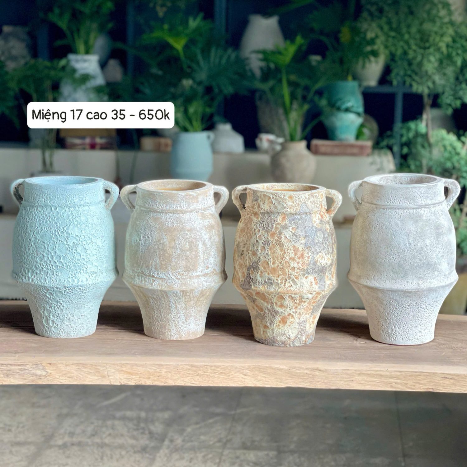 Bình gốm Atlantis hai quai - Ảnh 3