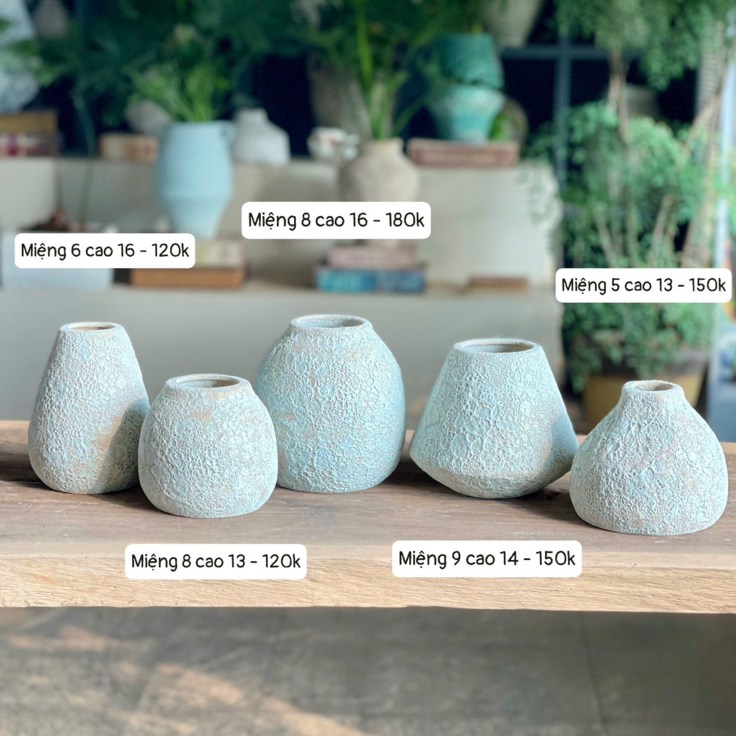 Alternative view of Bình gốm Atlantis mini các dáng