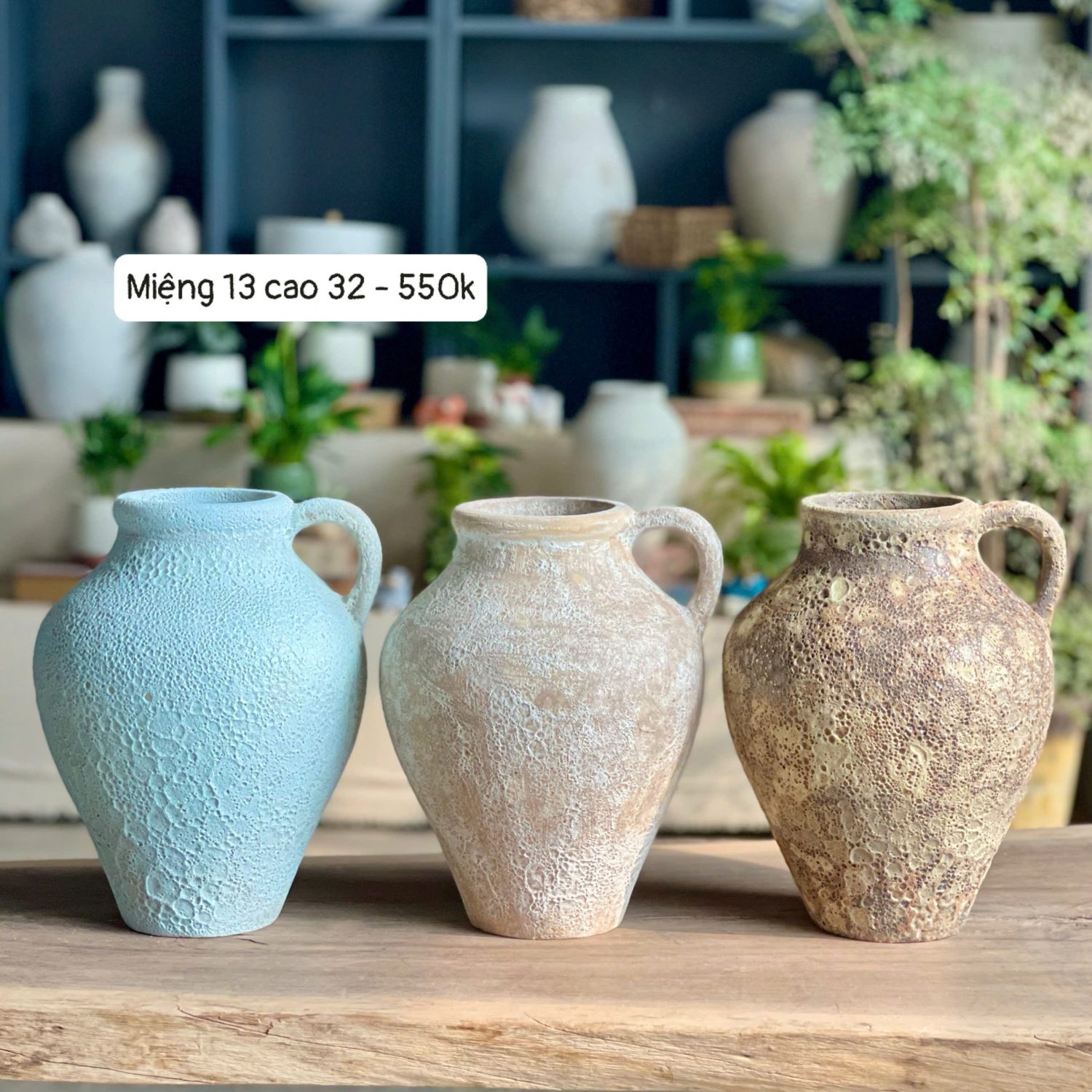 Bình gốm Atlantis một quai