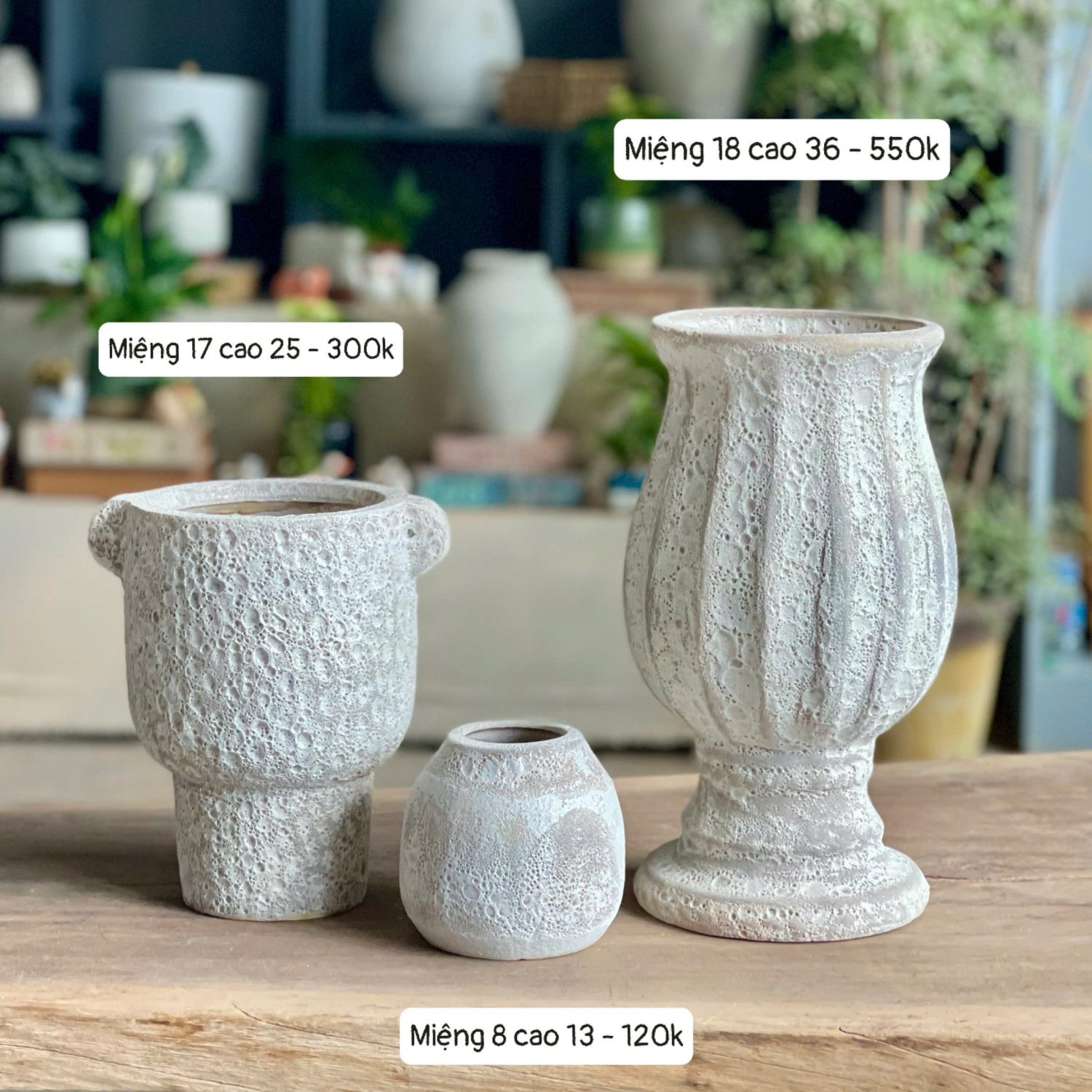 Bình gốm Atlantis mini các dáng - Ảnh 3