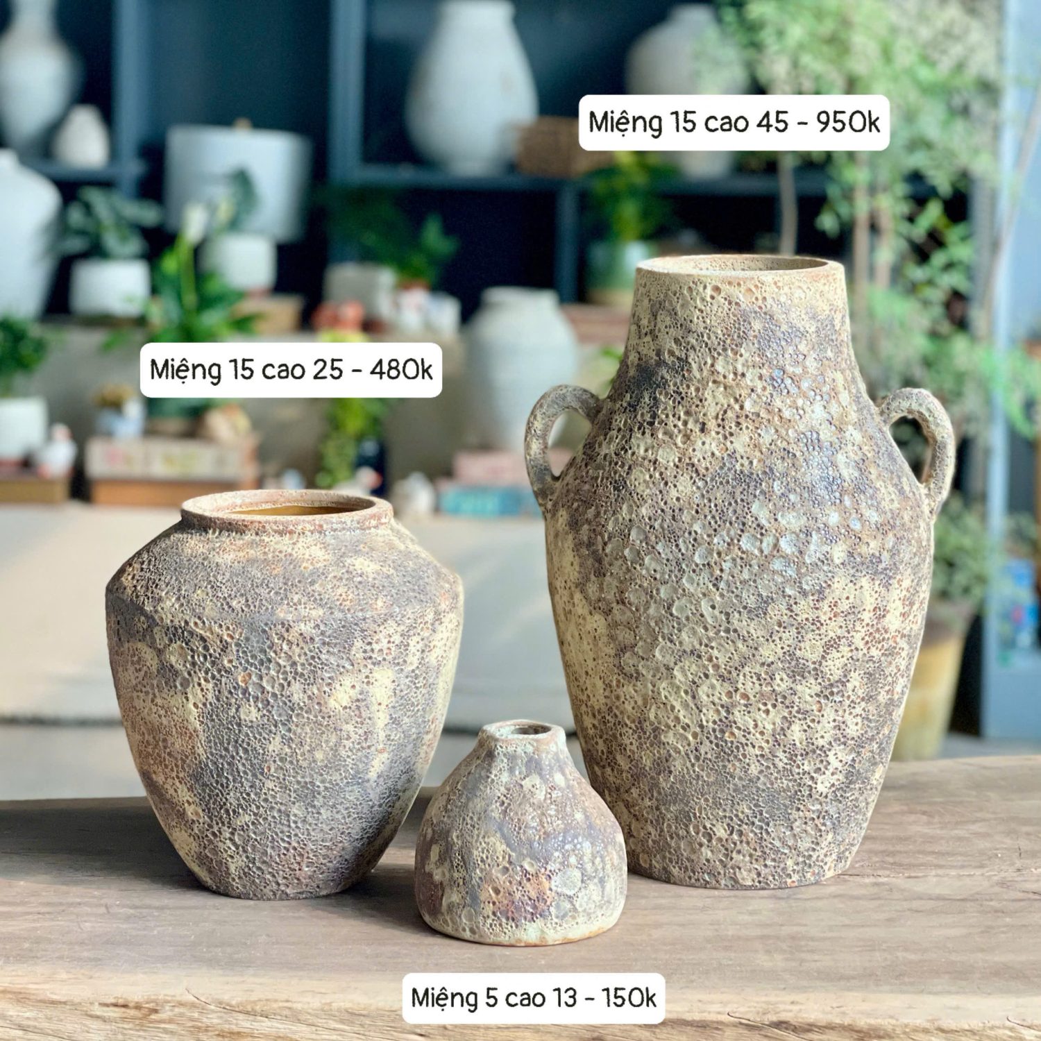 Bình gốm Atlantis Hai quai trơn to - Ảnh 3