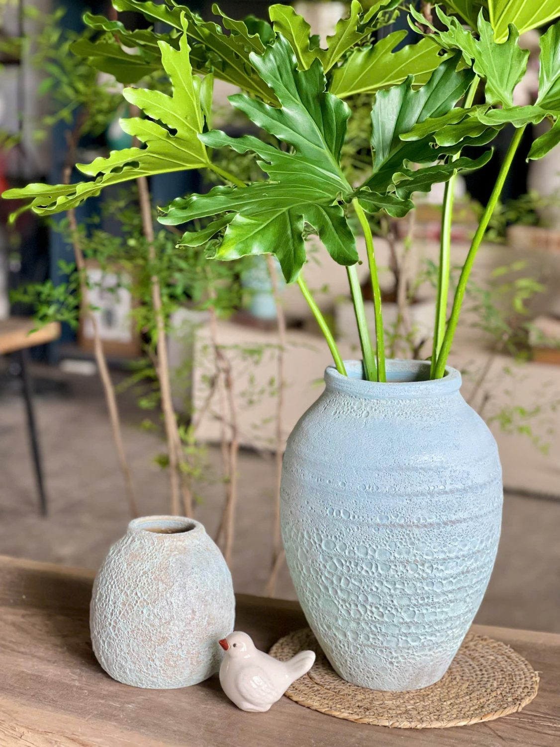 Alternative view of Bình gốm Atlantis ngấn